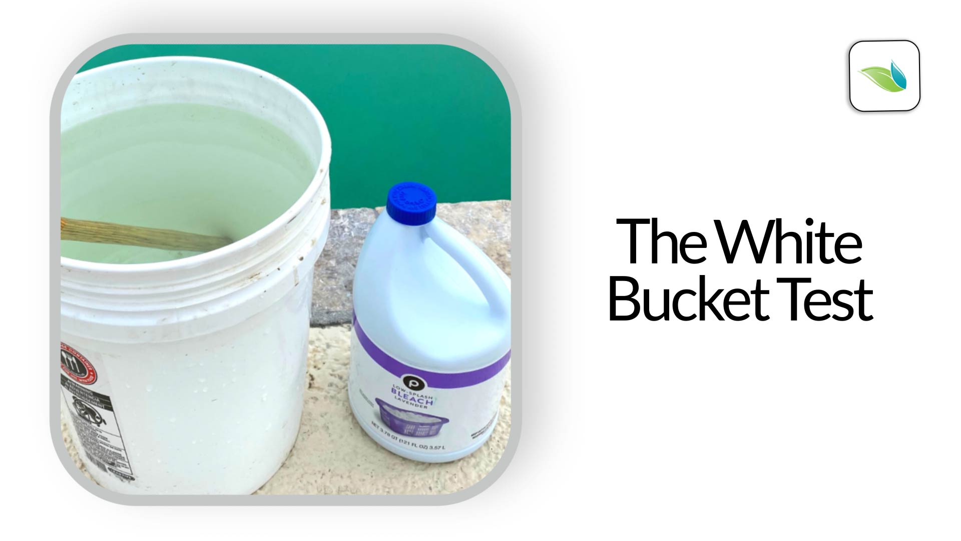 The White Bucket Test How to Identify Green Pool Water
